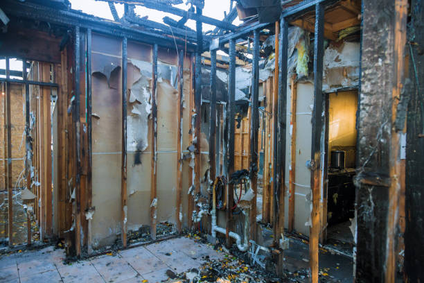 Professional Fire Damage Removal technician working in Hernando Beach, FL